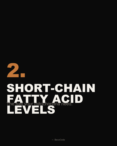 62ac69a70d60.png