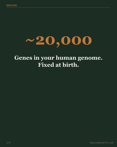841022596998.png