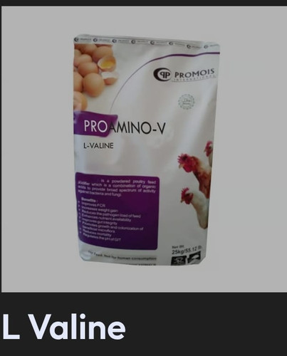 Trusted L Valine Manufacturer & Supplier for Premium Feed-Grade Valine.jpg