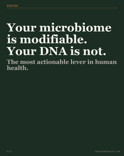 1e1617b3a01f.png