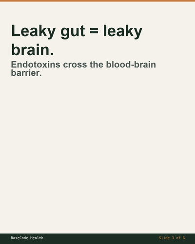 92136c39d035.png