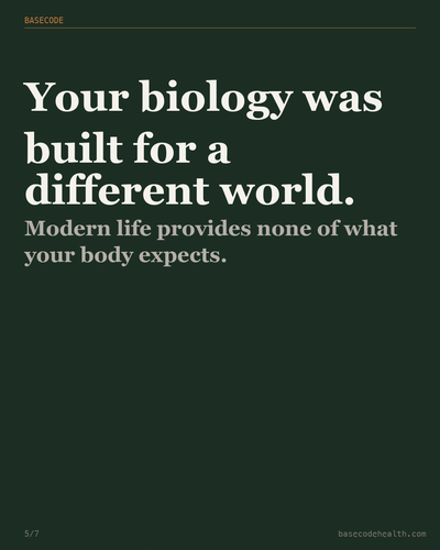 443c4b625c5b.png