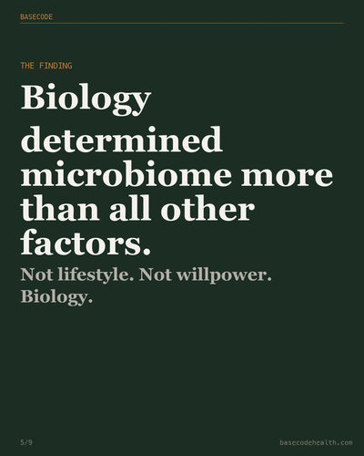 fc40f617530b.png