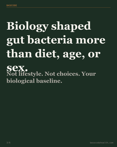52d134a56085.png