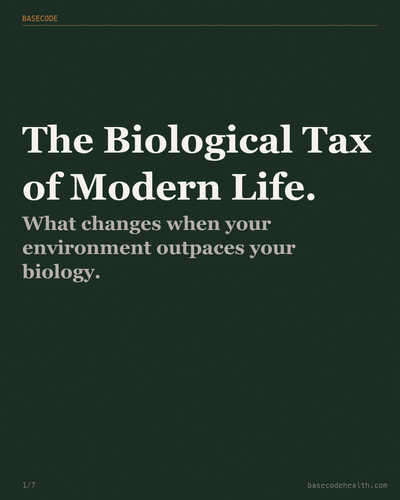 a48e12c13438.png