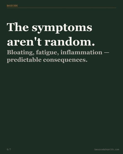 25be7ef62234.png