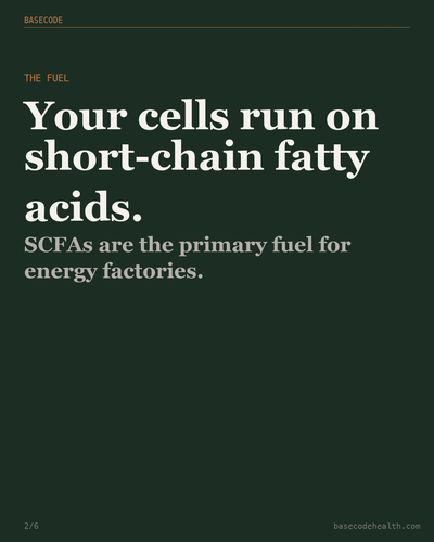 2b498506c24a.png