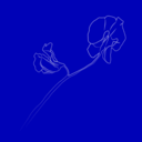 ddf3d671e2fd.png