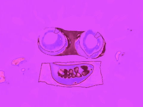 Super Electronic Sounds.jpg