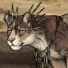 jag.png