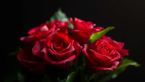 6e9d80c06bf1.webp