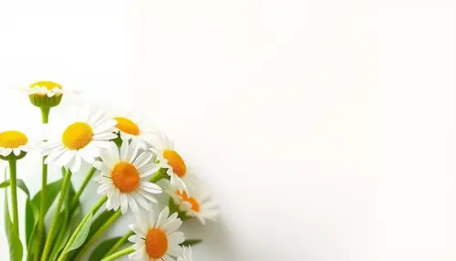a579db3a8140.webp
