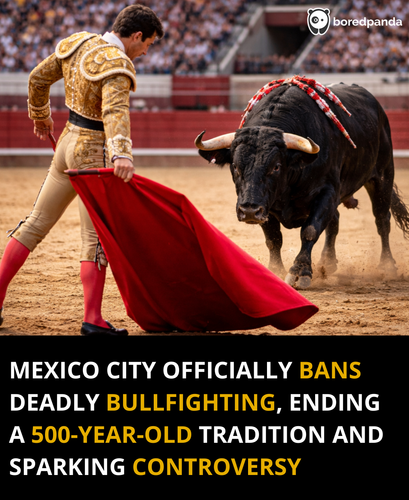 230. Mexico city bans bull fighting after 500 years.png