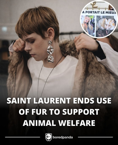 SAINT LAURENT ENDS USE OF FUR TO SUPPORT ANIMAL WELFARE.jpg