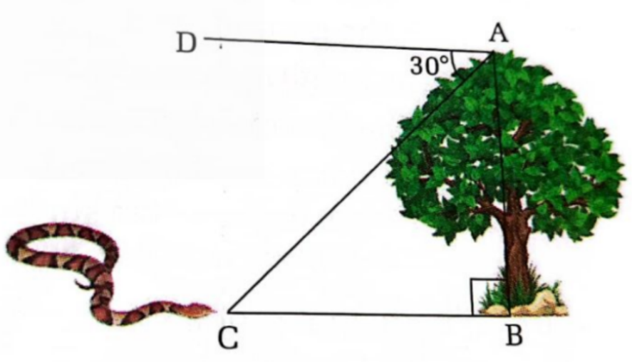 Quadratic questions 1-4