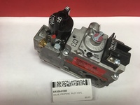 SR30641080.jpg