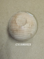 CY11001023.jpg