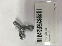 CY99100110.jpg