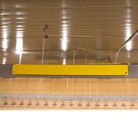 PH100 035.jpg