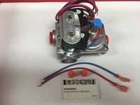 SR43648900.jpg