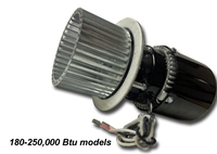 SR42928040.jpg