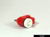 ZG2682.jpg