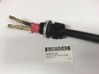 PHPIGTAL 023.jpg