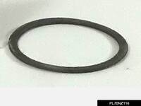 PL70NZ116.jpg