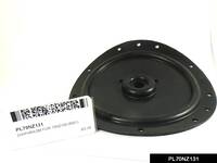 PL70NZ131.jpg