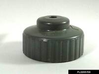 PL2205709.jpg