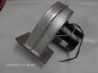 CUTP 55A.jpg
