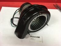 HS07376.jpg