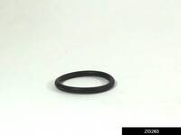 ZG263.jpg
