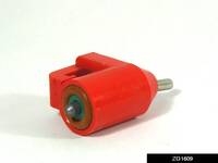 ZG1609.jpg