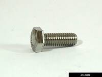 ZG2089.jpg