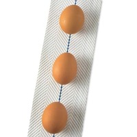 MHBLTEGG5 1020.jpg