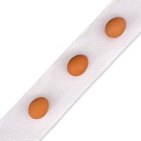 MHBLTEGG4 850.jpg