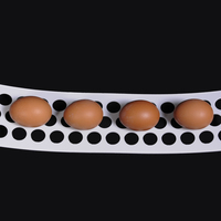 MHBLTEGG3P1020.jpg