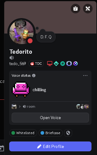 Discord U7fPlati00.png