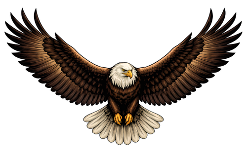 31b77953812f.png