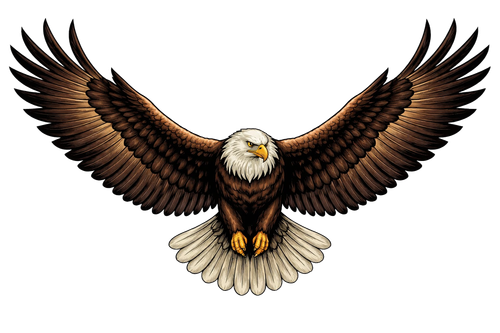 36a68993ea40.png