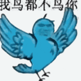 IMG 5569.gif