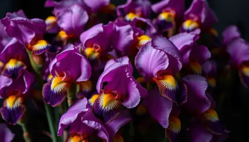 791d7db51f62.webp