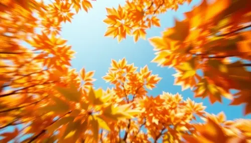 7b84a180d2e4.webp