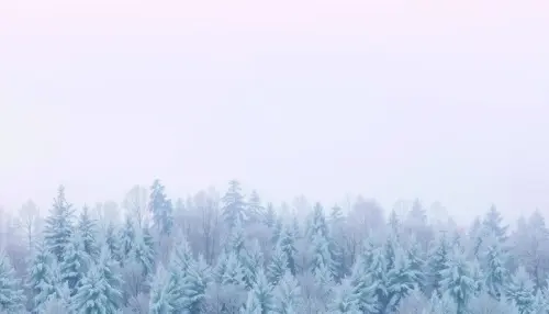 895fbcb3037c.webp