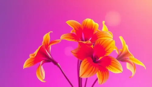 2413b6866724.webp