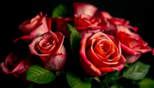 283a992da390.webp