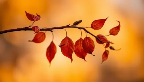 0b8c451f6191.webp