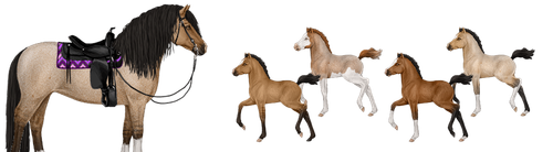 MyHorsez Banner.png