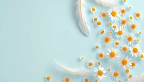 52c0bdbf5d1a.webp